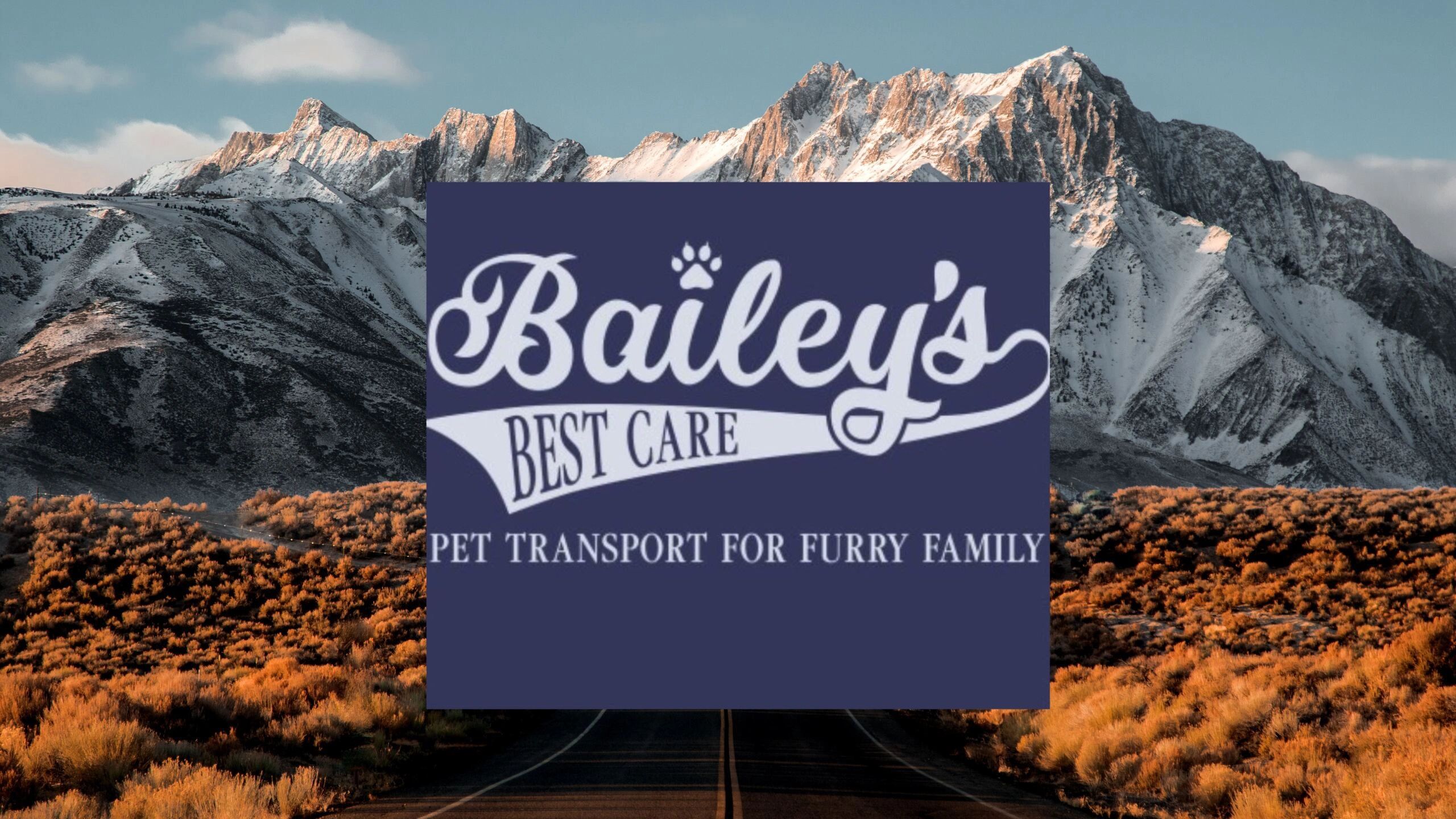 Bailey's Best Care Pet Transport Pet Transport, Pet Delivery